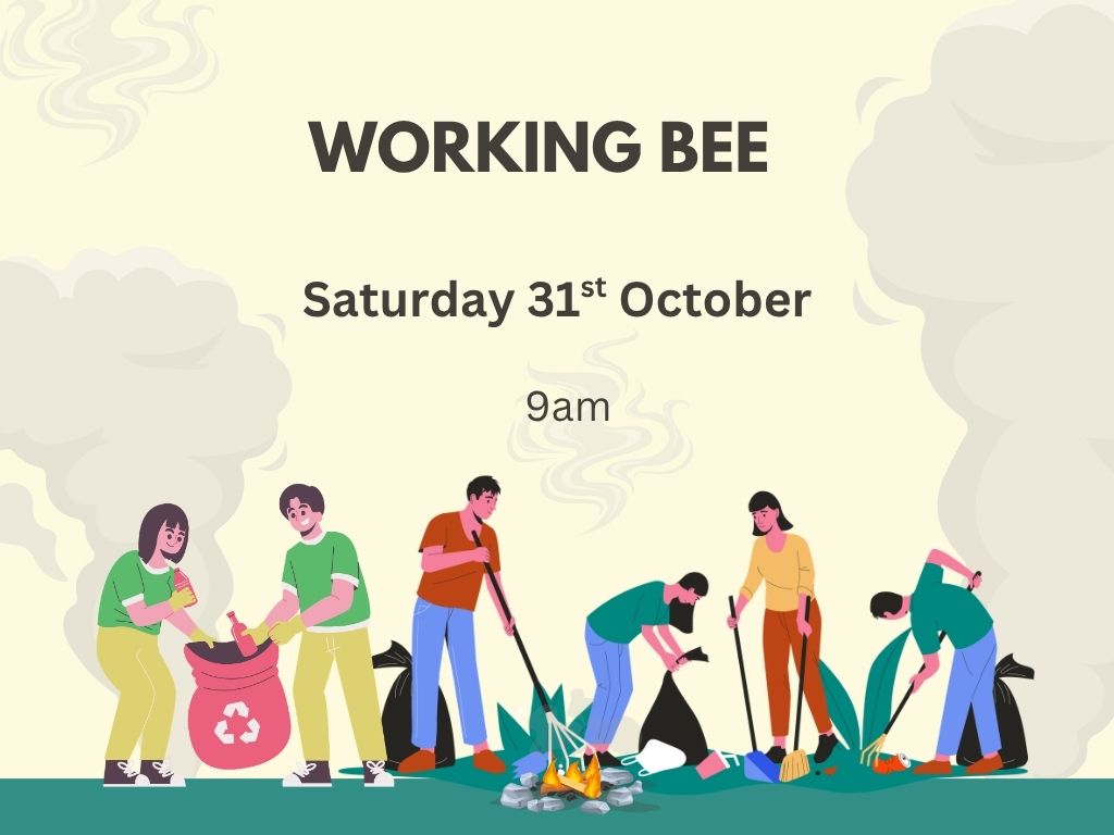 Working Bee  (4)
