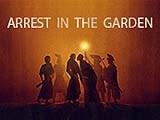 Arrest in the Garden